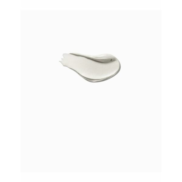 Corrector Facial Payot Pâte Grise - Imagen 2